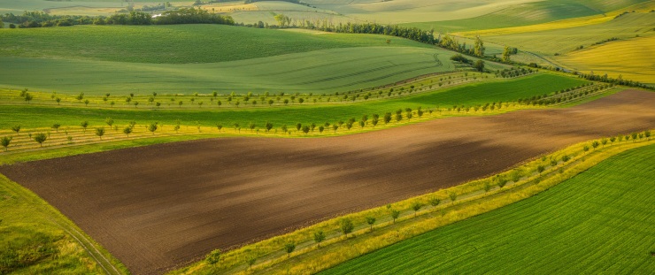 Banner zemědělská krajina